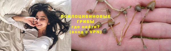 mdpv Заволжск