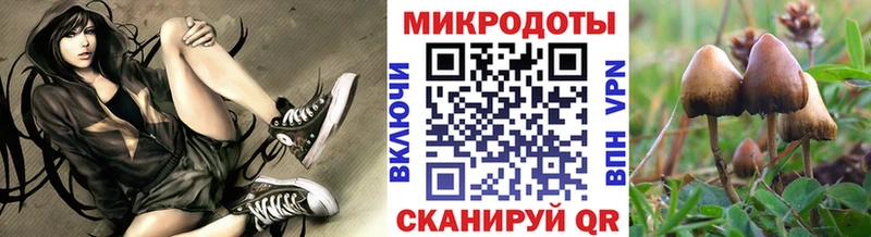 Псилоцибиновые грибы Psilocybine cubensis  Купить  Кашин 