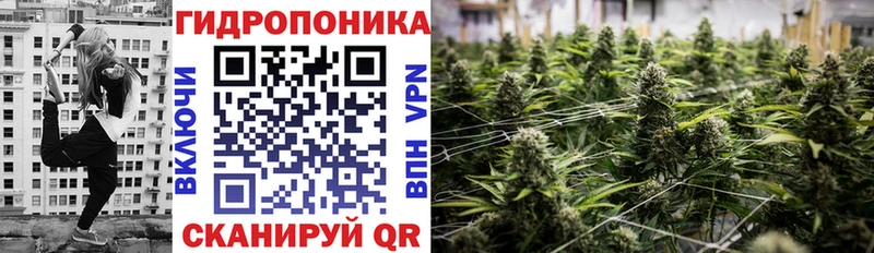 Купить закладки  Кашин  Бошки Шишки VHQ 